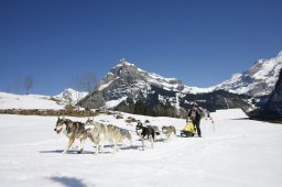 Kandersteg 2011